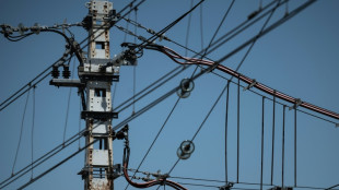 Canicules, orages: "l'&eacute;t&eacute; le plus chaud" va forcer l'adaptation du train