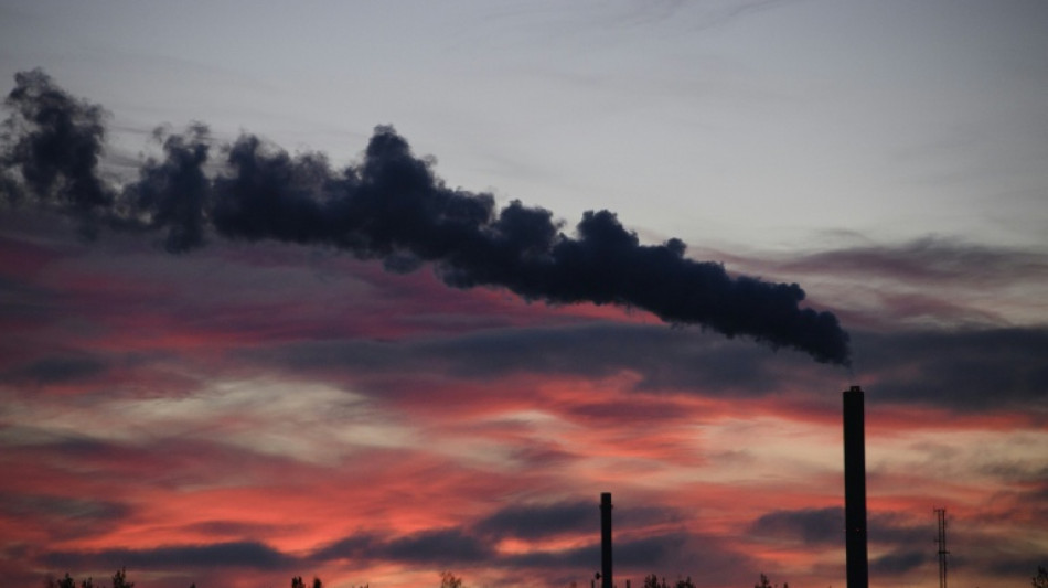 Umweltverb&auml;nde werfen Regierung fehlende Anstrengungen beim Klimaschutz vor