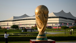 Qatar faces acid test in World Cup opener after 12 years of spending