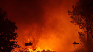 Oltre 220mila evacuati per gli incendi fra Francia e Spagna