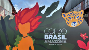 EUA não enviará autoridades de alto escalão à COP30 em Belém