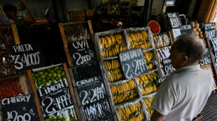 Argentine: inflation au plus bas depuis 4 ans, co&ucirc;t social toujours l&agrave;