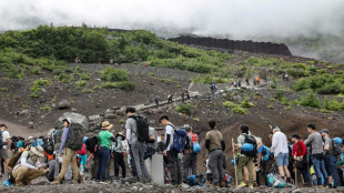 Le Japon introduit un syst&egrave;me de r&eacute;servation en ligne pour visiter le Mont Fuji