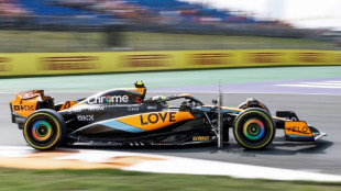 Norris upstages Verstappen in Dutch practice
