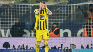 German FA and referee admit crucial error in Dortmund draw