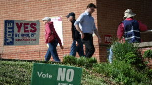 Un juez de Virginia bloquea el nuevo mapa electoral que podr&iacute;a favorecer a los dem&oacute;cratas