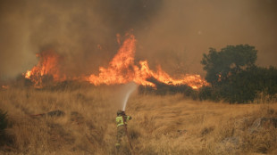 Gr&egrave;ce : les pompiers toujours mobilis&eacute;s sur l'incendie malgr&eacute; une situation "am&eacute;lior&eacute;e"