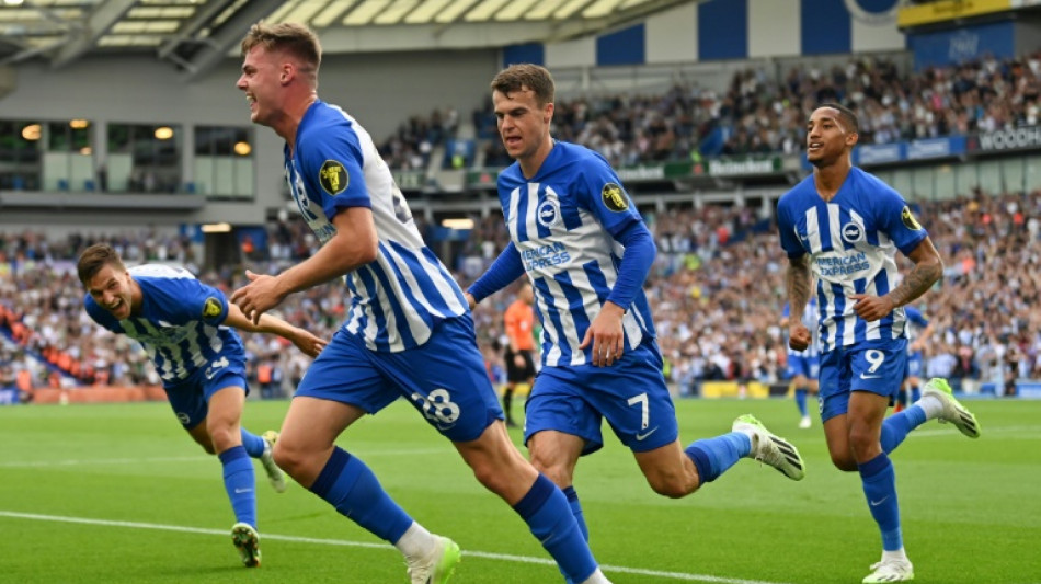 Brighton relish 'incredible' rise from exile to Europa League