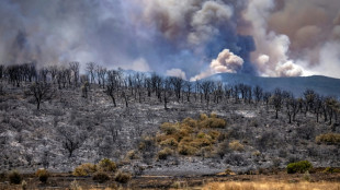 Feux de for&ecirc;t au Maroc: un mort, des centaines de familles d&eacute;plac&eacute;es