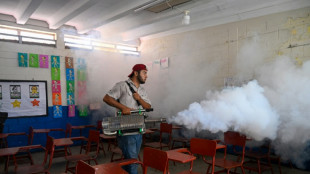 Dengue causa 35 mortes na Am&eacute;rica Central em 2024