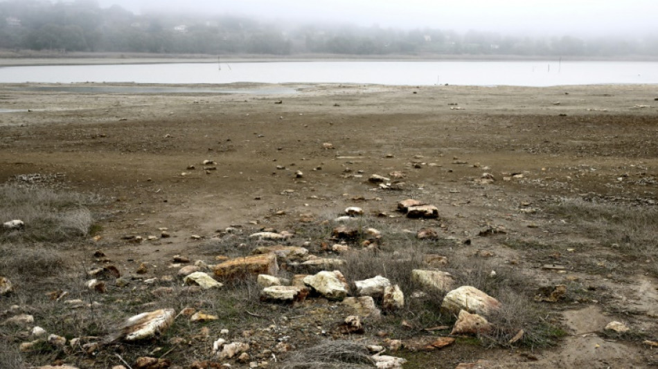 Lagos secos e incendios: el preocupante impacto de la sequ&iacute;a en Sicilia