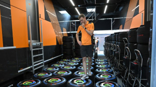Drivers concerned at new tyre rules ahead of Hungarian GP