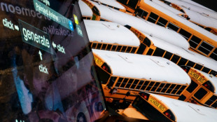 Three quarters of US teens use AI companions despite risks: study