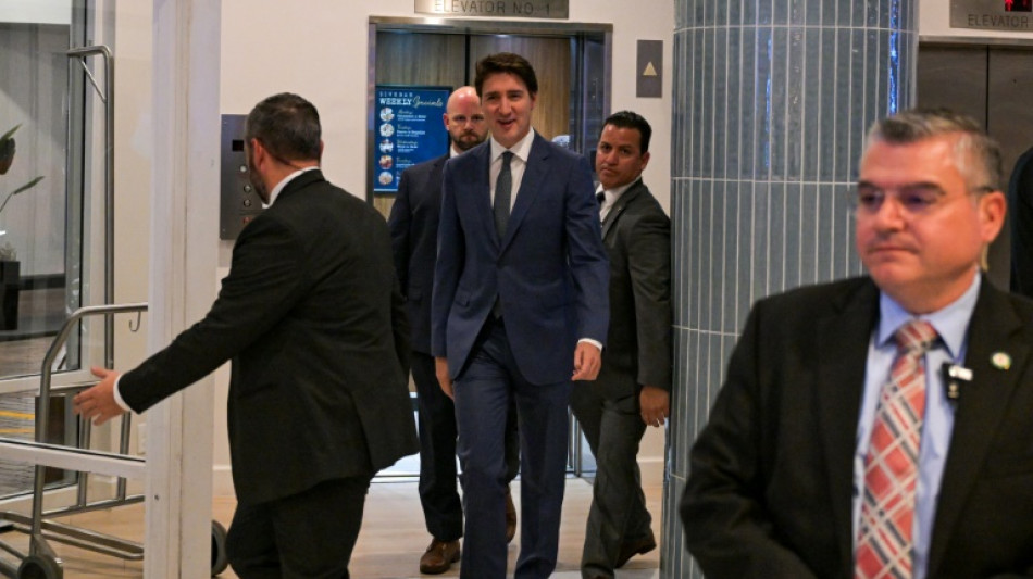 Trudeau se re&uacute;ne com Trump na Fl&oacute;rida em meio a amea&ccedil;as tarif&aacute;rias