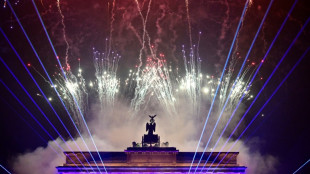 Silvester: Rund 400 Festnahmen in Berlin - Tausende Beamte im Einsatz