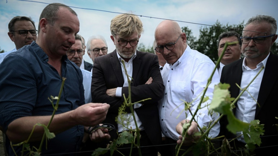 Catastrophes climatiques: Fesneau promet la "solidarit&eacute; nationale" aux agriculteurs 