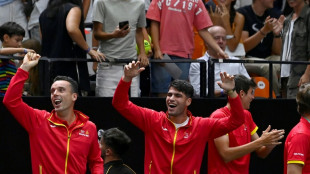 Espa&ntilde;a-Pa&iacute;ses Bajos y Argentina-Italia en cuartos de la Copa Davis