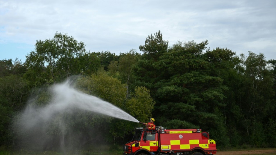 Aumentan los incendios forestales en Reino Unido en este periodo del a&ntilde;o