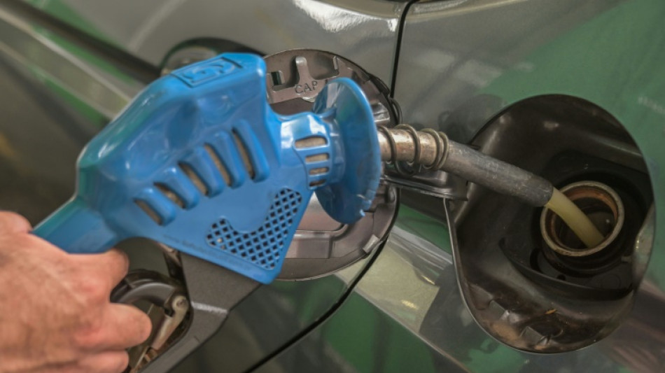 Br&eacute;sil: Bolsonaro limoge le pr&eacute;sident de Petrobras apr&egrave;s des hausses des prix des carburants 