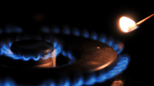 Gme, prezzo gas in Italia sale a 36,46 euro al MWh