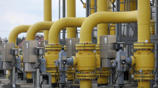 Il gas parte in lieve calo (-0,3%) a 41,7 euro al Megawattora