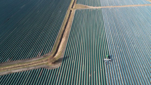L&ouml;hne f&uuml;r Besch&auml;ftigte in der Landwirtschaft sollen um rund zehn Prozent steigen
