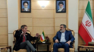 El jefe del OIEA en Ir&aacute;n para hablar del programa nuclear con el presidente Raisi