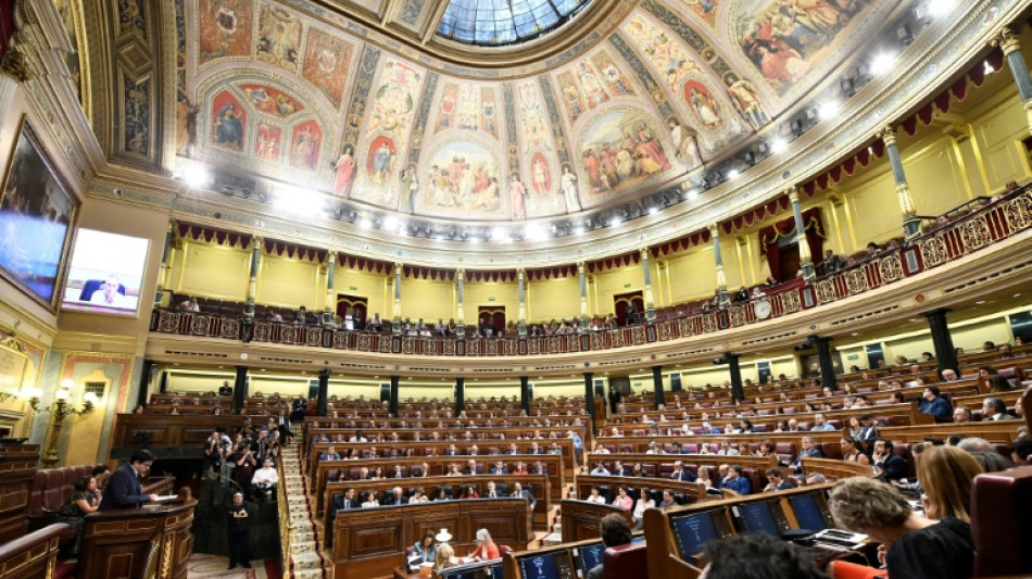 La izquierda espa&ntilde;ola fracasa en reformar la pol&eacute;mica ley de seguridad