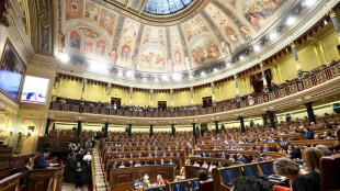 La izquierda espa&ntilde;ola fracasa en reformar la pol&eacute;mica ley de seguridad