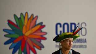 La COP16 biodiversit&eacute; &eacute;choue &agrave; Cali sur la finance Nord-Sud