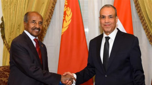 Egitto ed Eritrea, sicurezza del mar Rosso spetta solo agli Stati costieri