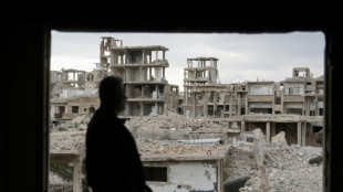 Rebuilding wrecked Syria vital for regional stability: UN