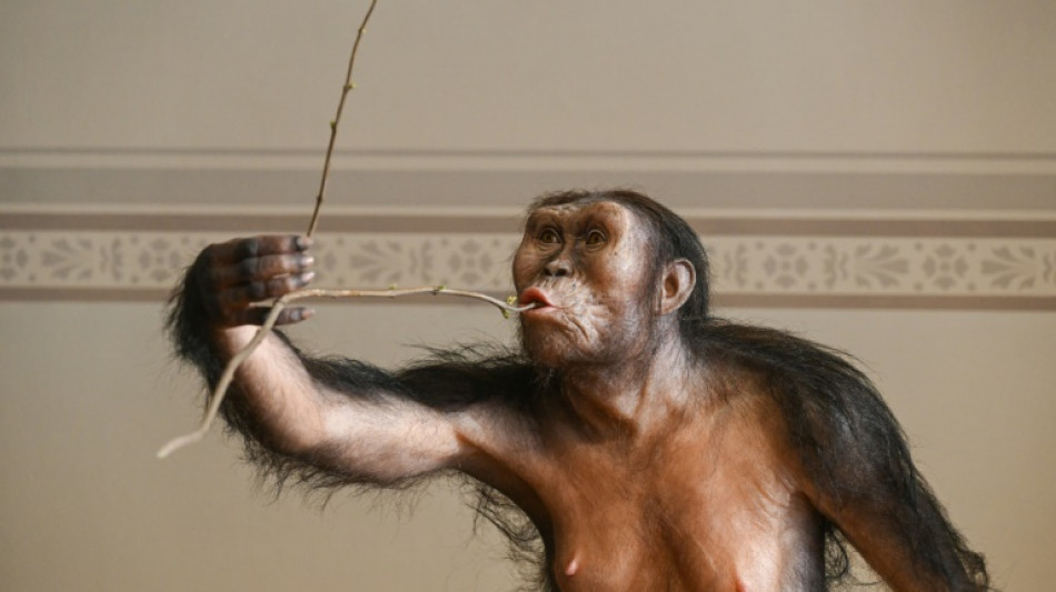 L'australopith&egrave;que Lucy, expos&eacute;e pour la premi&egrave;re fois au public &agrave; Prague