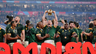 Nach WM-Titel: Feiertag f&uuml;r Springboks-Party