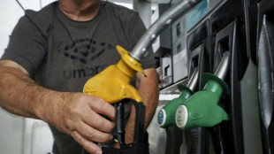 L'indemnit&eacute; carburant prolong&eacute;e jusqu'&agrave; fin mars par le gouvernement (Le Maire)
