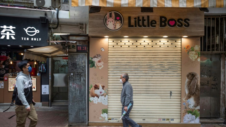 Hong Kong sacrificar&aacute; h&aacute;msters tras detectar casos de covid-19 en mascotas