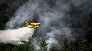 Europa occidental lucha contra incendios y se alista para temperaturas r&eacute;cord