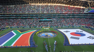 Mondiali: da Soweto a Johannesburg, vuvuzela e fuochi d'artificio per il Sudafrica