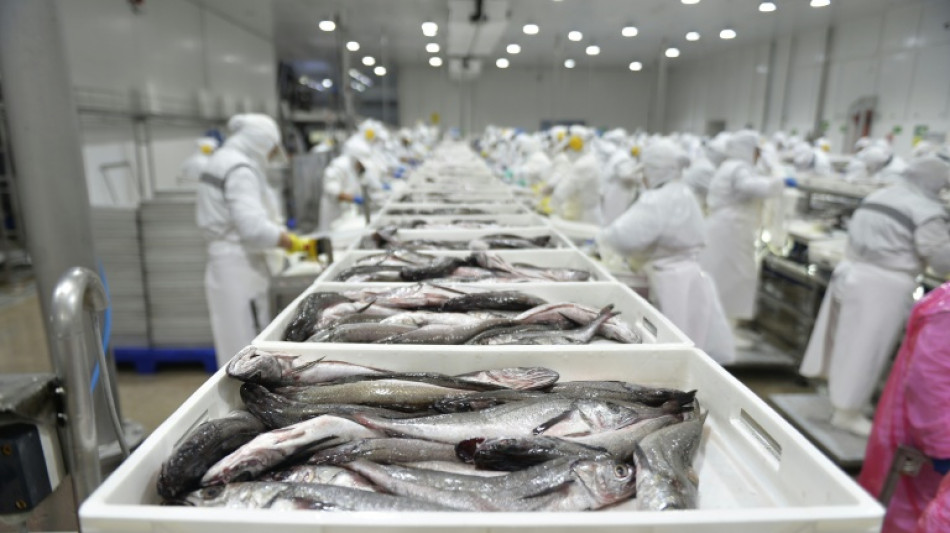 Chile ups hake catch limits for small-scale fishermen