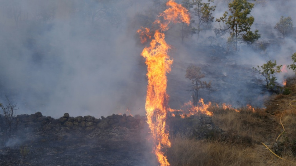Espa&ntilde;a sufre con los incendios una de sus "mayores cat&aacute;strofes medioambientales", dice el Gobierno