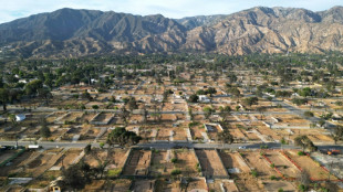Br&auml;nde in Los Angeles: US-Regierung reicht Millionenklage gegen Stromversorger ein