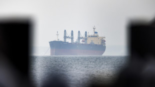 Agenzia marittima Gb, 'nave colpita da un proiettile al largo di Doha'