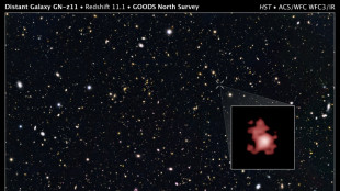 James-Webb-Teleskop entdeckt am weitesten entfernte bisher bekannte Galaxie