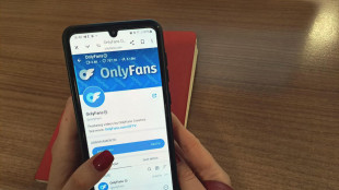 Svezia dichiara illegale ordinare materiale porno su internet