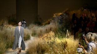 Un activista de los derechos animales irrumpe en un desfile de Herm&egrave;s