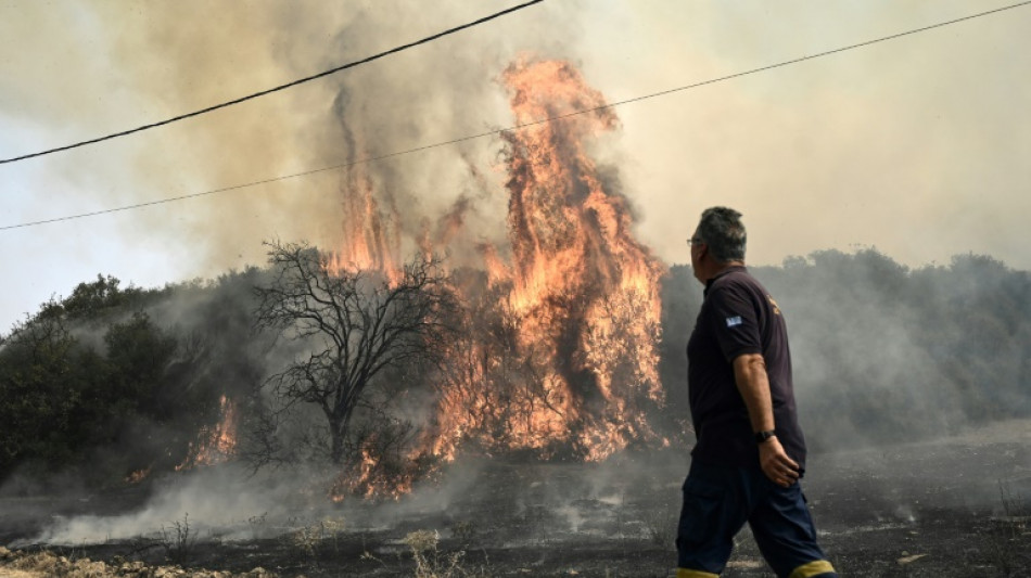 Br&uuml;ssel: Feuer im Nordosten Griechenlands gr&ouml;&szlig;ter Waldbrand &uuml;berhaupt in der EU
