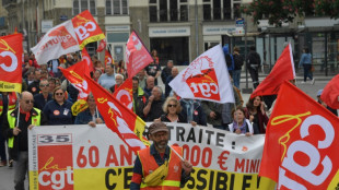 Retraites: une 14e, et peut-&ecirc;tre ultime, journ&eacute;e de mobilisation