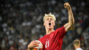 Man Utd agree deal to sign Hojlund: reports