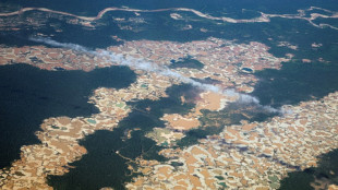 L'Amazonie p&eacute;ruvienne consum&eacute;e par l'exploitation aurif&egrave;re ill&eacute;gale