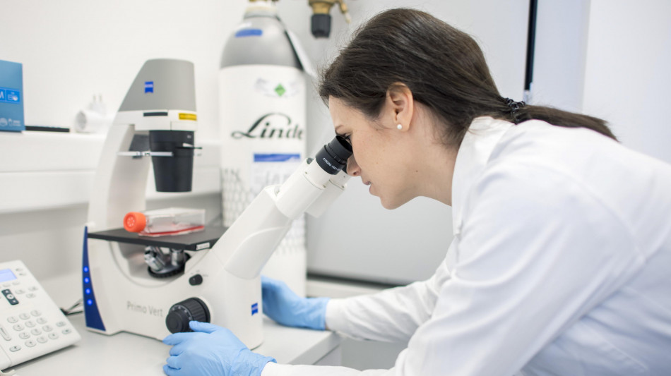 In una mappa i trucchi di uno dei superbatteri pi&ugrave; comuni